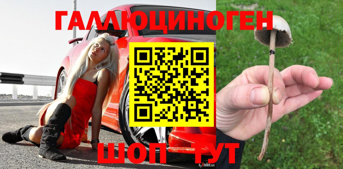 Галлюциногенные грибы Magic Shrooms  Вход с VPN  Холмск  Галлюциногенные грибы мухоморы 